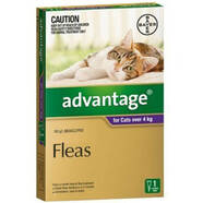 Advantage Purple Single Dose Pack for Cats over 4kg