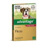 Advantage Red Single Dose Pack for dogs 10- 25kg