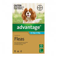 Advantage Aqua Single dose pack for dogs 4-10kg