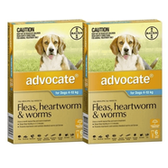 Advocate Dog Aqua Medium for dogs 4-10kg 12pk 
