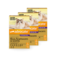 Advocate Spot-On for Large Cats Over 4kg (Purple)