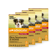 Advocate Spot-On for Large Dogs 10-25kg (Red)