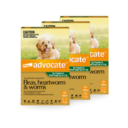 Advocate Spot-On for Puppies & Small Dogs Upto 4kg (Green)