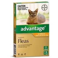 Advantage Small Cats Orange 6 pack Cats up to 4kg