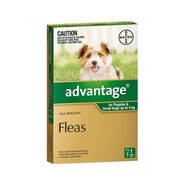 Advantage Green Single Dose for dogs up to 4kg Flea Control
