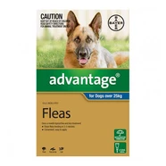 Advantage Blue Single over 25kg Extra Large Dogs