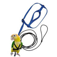 Aviator Bird Harness & Leash Blue