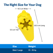 PetSafe Frosty Cone Freezable Treat Holding Dog Toy - Medium/ Large