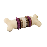 Busy Buddy Bristle Bone 