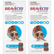 Bravecto for Large Dogs 20 - 40kg x 4 Chews (12 months prevention)