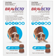 Bravecto for Large Dogs 20 - 40kg x 4 Chews (12 months prevention) 