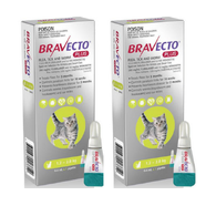 Bravecto Plus for Small Cats (1.2-2.8kg) Green x 2 pack  