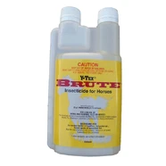 Brute 500ml with Mitt