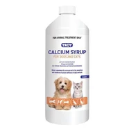 Troy Calcium Syrup 1 Litre