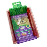 Mr Fothergills Cat Grass Kit 