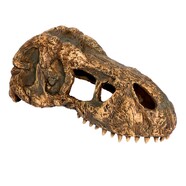 Exo Terra T Rex Skull - Small