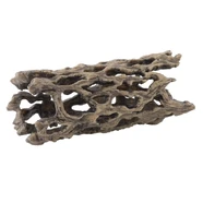 Exo Terra Cholla Cactus Skeleton - Medium