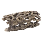 Exo Terra Cholla Cactus Skeleton - Large