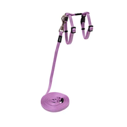 Rogz Alleycat Harness & Lead Set Small - Lilac