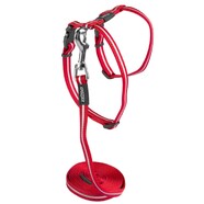Rogz Alleycat Harness & Lead Set - Red Small