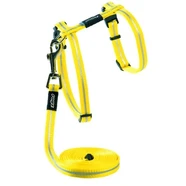 Rogz Alleycat Harness & Lead Set Dayglo Yellow Sml