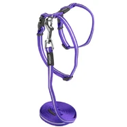 Rogz Alleycat Harness & Lead Set - Purple XSmall