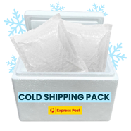 Cold Shipping Pack (Esky + Ice Bricks)