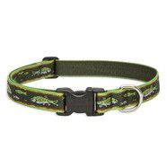 Lupine 12-20 Large Dog Collar Brook Trout 1 inch thick, Adjustable 12-20 inches