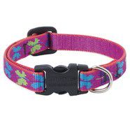 Lupine 8-12 Small Dog Collar Wing It 1/2 inch thick, Adjustable 8-12 inches
