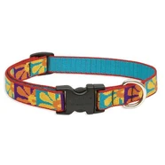 Lupine Medium Dog Collar Crazy Daisy 3/4 inch thick, Adjustable 13-22 inches