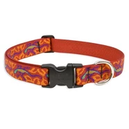 Lupine 12-20 Large Dog CollarGo Go Gecko 1 inch thick, Adjustable 12-20 inches
