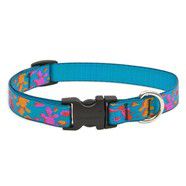 Lupine 13- 22 Medium Dog Collar WET PAINT 3/4 inch thick, Adjustable 13-22 inches