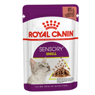 Royal Canin Feline Sensory Smell Gravy Wet Food 12 x 85g