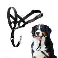 Halti Headcollar Size 5