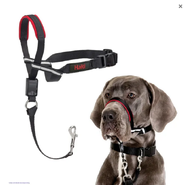 Halti Optifit Headcollar Large