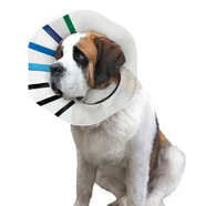 Kong EZ Clear Collar - XXLarge