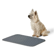 Snooza Washable Pee Pad 2pk - Small