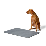 Snooza Washable Pee Pad 2pk - Large
