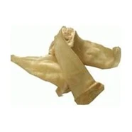 LAMBS EARS 10 pack