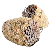 Forage Gourmet Pine Cone Treat