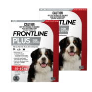 Frontline Plus Extra Large Dog 12 Pack - 40-60kg (2 x 6pks)