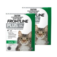 Frontline Plus Cat 12 pack