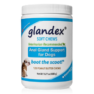 Glandex Anal Gland Support Soft Peanut Butter Chews 120 pack