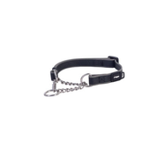 Rogz Amphibian Control Obedience Collar Black - Medium