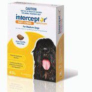 Interceptor Spectrum Yellow Chews 3 pack - dogs 11 -22kg