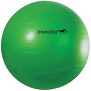 Jolly Pets Horsemans Pride Large Ball Ball 40" 