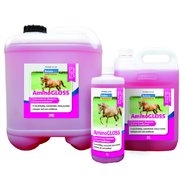 Kelato Aminogloss Coat Treatment