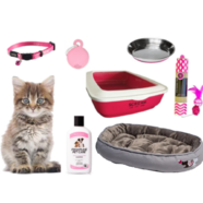 Kitten Pack - Pink