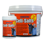 Kohnke’s Own Cell Salts
