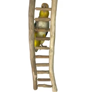 Natural Bird Ladder L 48Cm 